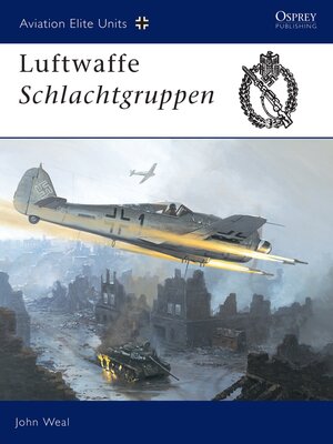 cover image of Luftwaffe Schlachtgruppen